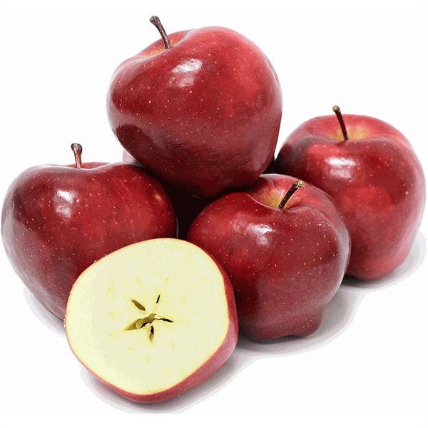 Apple Red Delicious Economy Fruit